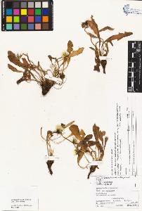 SW_BNB_s3070-01873_IMG-0000000001