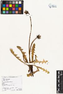 SW_BNB_s3070-01874_IMG-0000000001