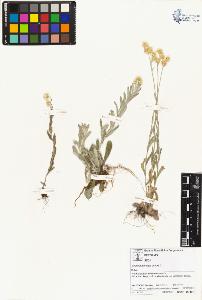 SW_BNB_s3070-01875_IMG-0000000001