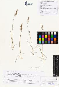 SW_BNB_s3070-01876_IMG-0000000001