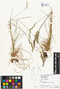 SW_BNB_s3070-01877_IMG-0000000001