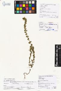 SW_BNB_s3070-01879_IMG-0000000001