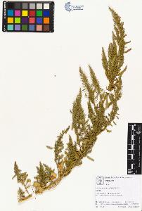 SW_BNB_s3070-01881_IMG-0000000001