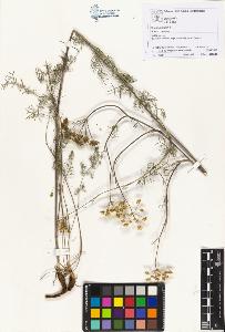 SW_BNB_s3070-01884_IMG-0000000001