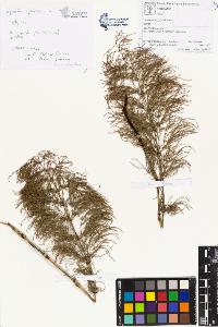 SW_BNB_s3070-01885_IMG-0000000001