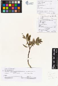 SW_BNB_s3070-01886_IMG-0000000001