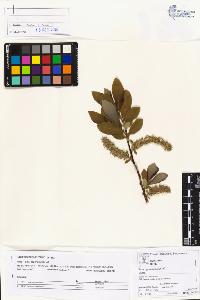 SW_BNB_s3070-01887_IMG-0000000001