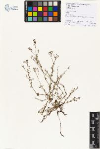 SW_BNB_s3070-01888_IMG-0000000001