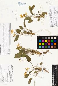SW_BNB_s3070-01890_IMG-0000000001