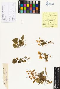 SW_BNB_s3070-01892_IMG-0000000001