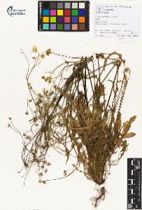 SW_BNB_s3070-01894_IMG-0000000001