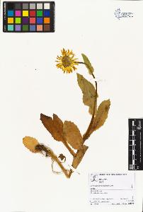 SW_BNB_s3070-01897_IMG-0000000001