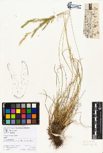 SW_BNB_s3070-01898_IMG-0000000001