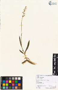 SW_BNB_s3070-01899_IMG-0000000001