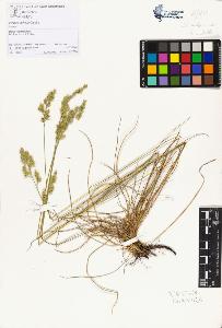 SW_BNB_s3070-01900_IMG-0000000001