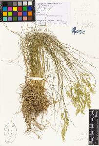 SW_BNB_s3070-01901_IMG-0000000001