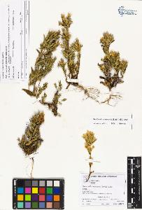 SW_BNB_s3070-01903_IMG-0000000001
