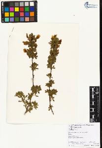 SW_BNB_s3070-01906_IMG-0000000001