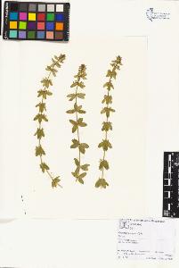 SW_BNB_s3070-01907_IMG-0000000001