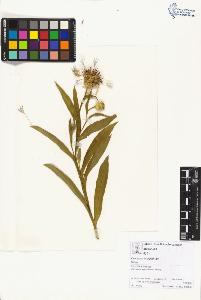 SW_BNB_s3070-01908_IMG-0000000001