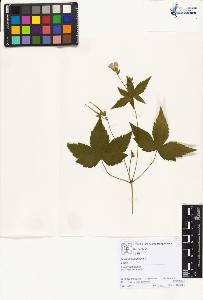 SW_BNB_s3070-01913_IMG-0000000001