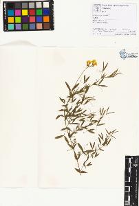 SW_BNB_s3070-01916_IMG-0000000001