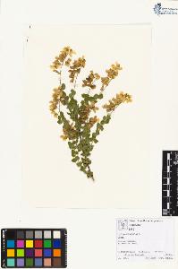 SW_BNB_s3070-01917_IMG-0000000001