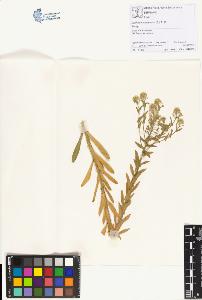 SW_BNB_s3070-01918_IMG-0000000001