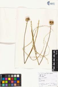 SW_BNB_s3070-01919_IMG-0000000001