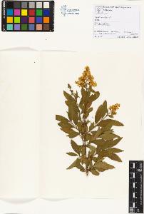 SW_BNB_s3070-01921_IMG-0000000001