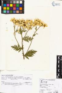 SW_BNB_s3070-01923_IMG-0000000001