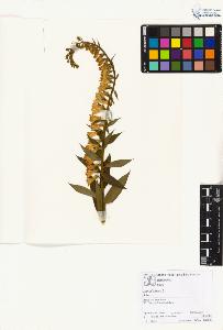 SW_BNB_s3070-01924_IMG-0000000001