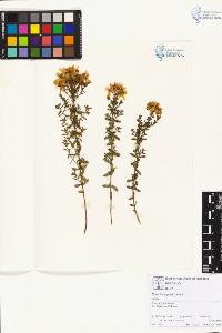 SW_BNB_s3070-01925_IMG-0000000001