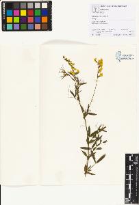 SW_BNB_s3070-01926_IMG-0000000001