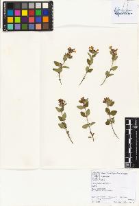 SW_BNB_s3070-01927_IMG-0000000001