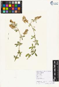 SW_BNB_s3070-01928_IMG-0000000001