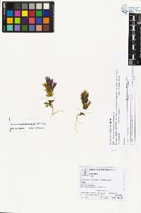 SW_BNB_s3070-01929_IMG-0000000001