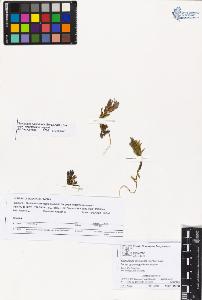 SW_BNB_s3070-01930_IMG-0000000001