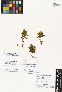 SW_BNB_s3070-01931_IMG-0000000001