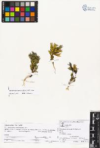 SW_BNB_s3070-01932_IMG-0000000001