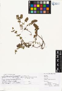 SW_BNB_s3070-01933_IMG-0000000001
