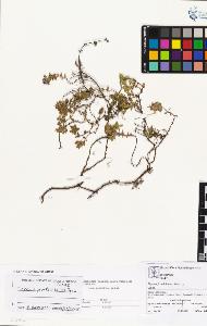 SW_BNB_s3070-01934_IMG-0000000001