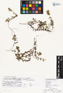 SW_BNB_s3070-01935_IMG-0000000001