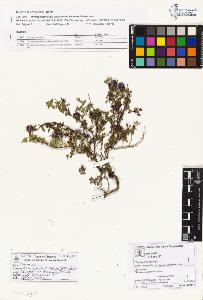 SW_BNB_s3070-01936_IMG-0000000001