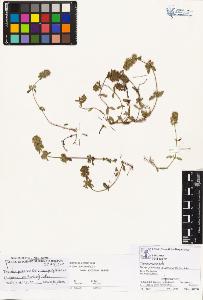 SW_BNB_s3070-01937_IMG-0000000001