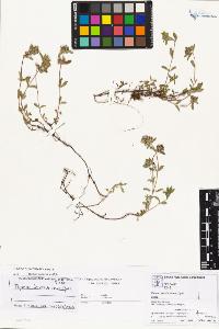SW_BNB_s3070-01938_IMG-0000000001