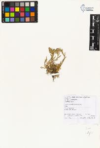 SW_BNB_s3070-01940_IMG-0000000001