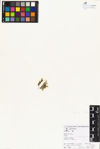 SW_BNB_s3070-01941_IMG-0000000001