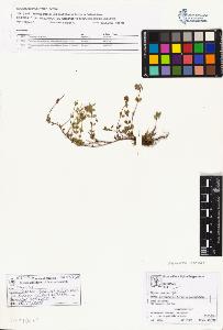 SW_BNB_s3070-01943_IMG-0000000001