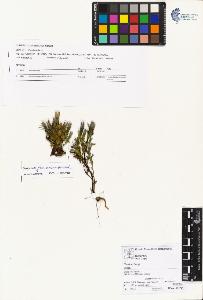 SW_BNB_s3070-01945_IMG-0000000001